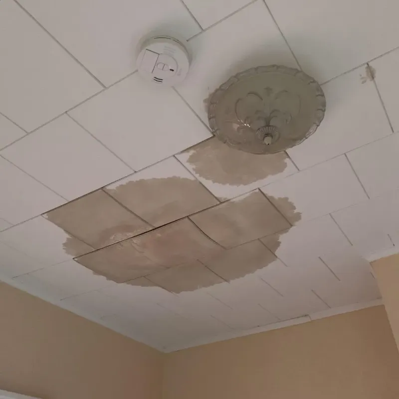 Ceiling Water Damage Repair in Cary, NC