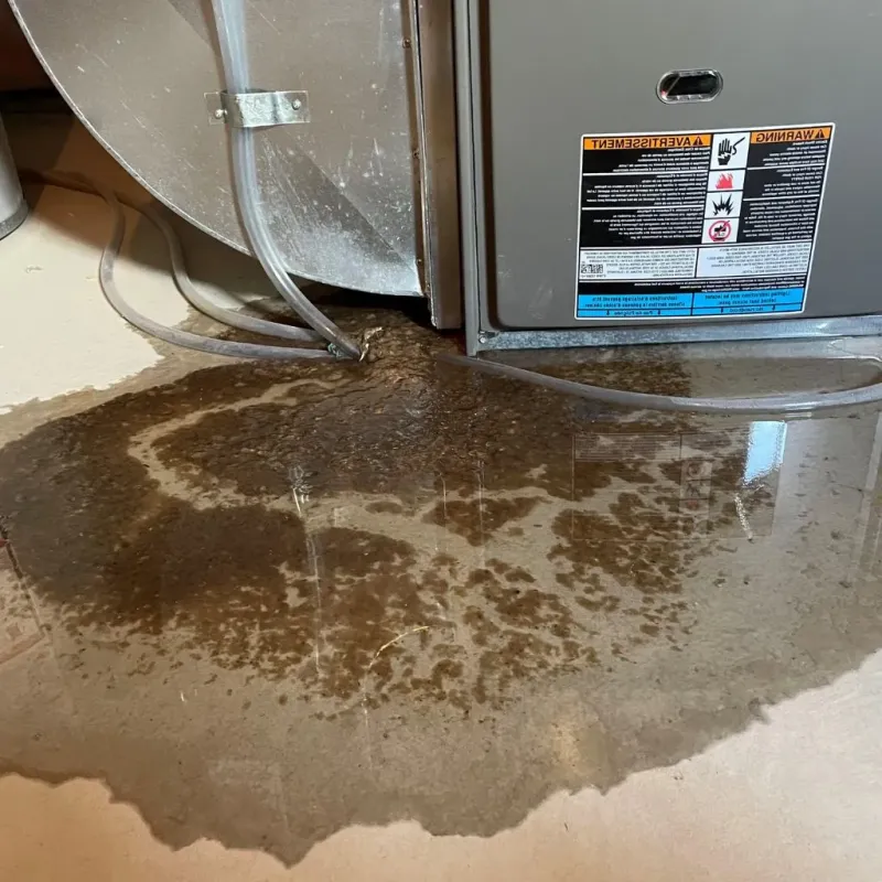 Pipe Burst and Leak Restoration in Cary, NC
