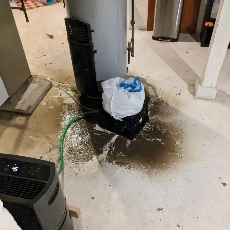 Sewage Backup Cleanup Service in Cary, NC